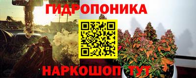 прущие крисы Сланцы