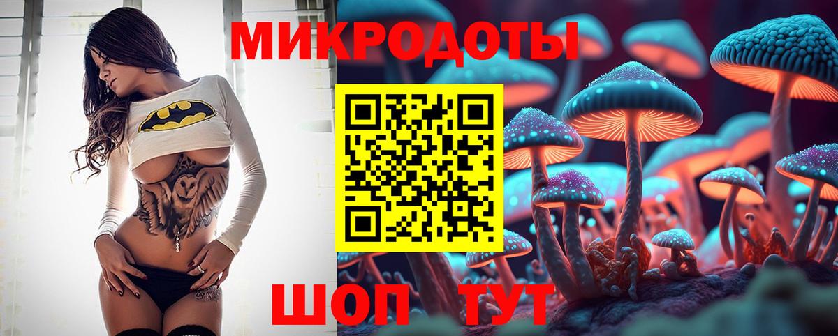 Галлюциногенные грибы мицелий  Вход с VPN  Петропавловск-Камчатский 
