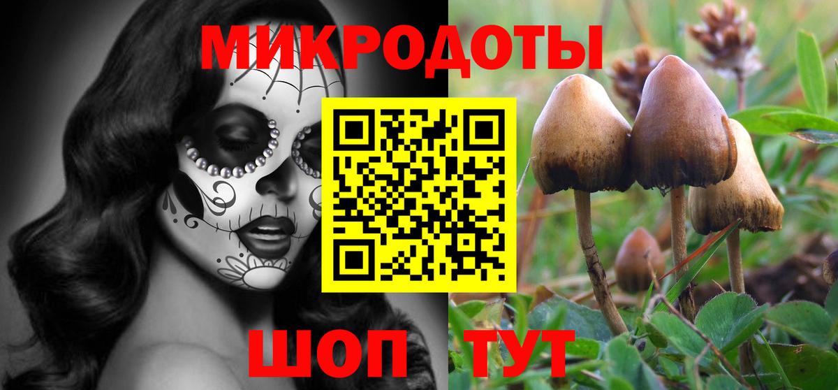 Псилоцибиновые грибы ЛСД Петропавловск-Камчатский