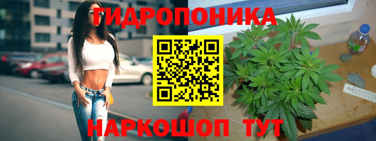 Шишки марихуана MAZAR  Вход с VPN  Петропавловск-Камчатский  МАРИХУАНА план  Бошки марихуана THC 21%  Марихуана LSD WEED 
